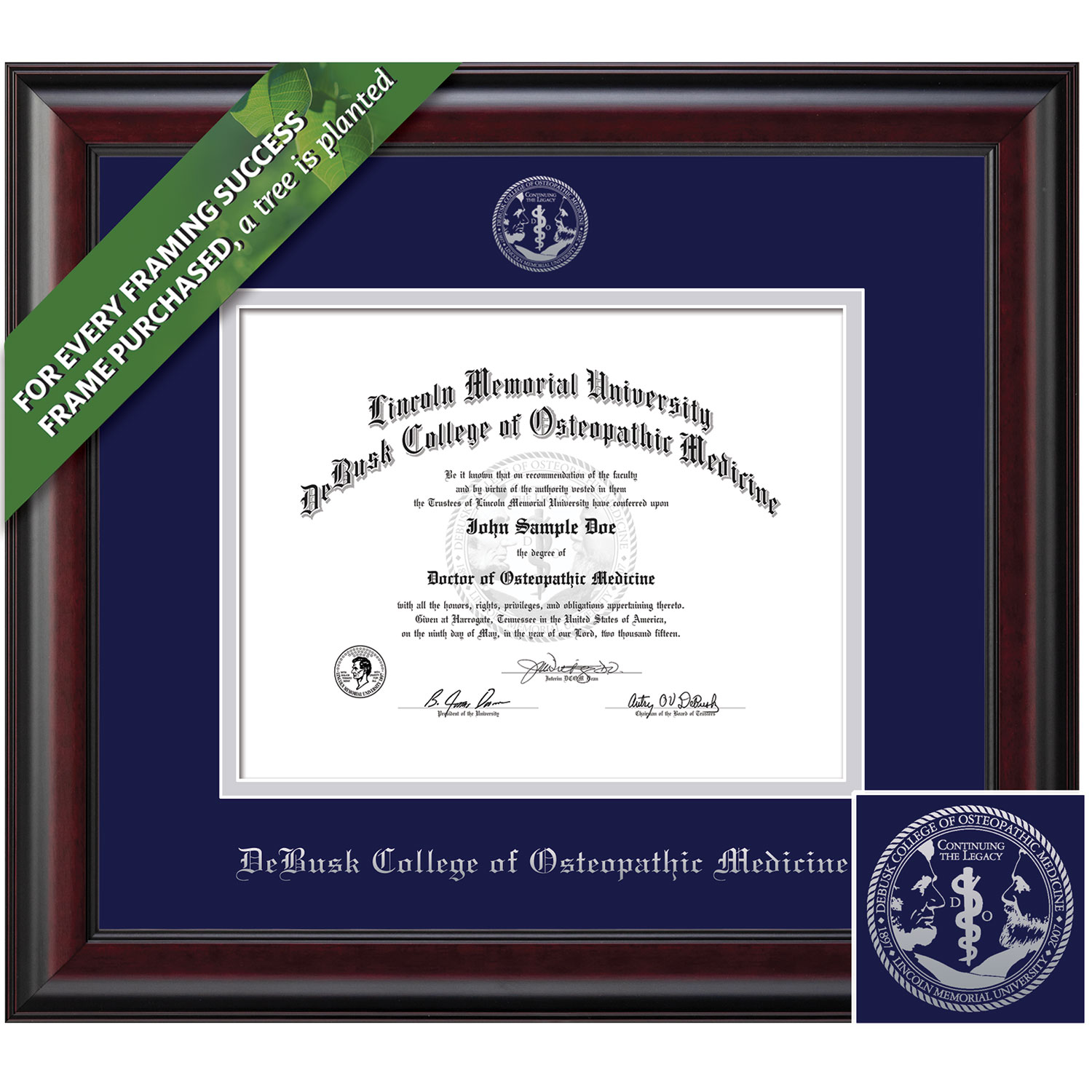 Framing Success 11 x 14 Classic Silver Embossed School Seal Osteopathic Medicine Diploma Frame