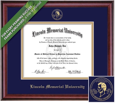 Framing Success 8.5 x 11 Classic Gold Embossed School Seal Masters Diploma Frame