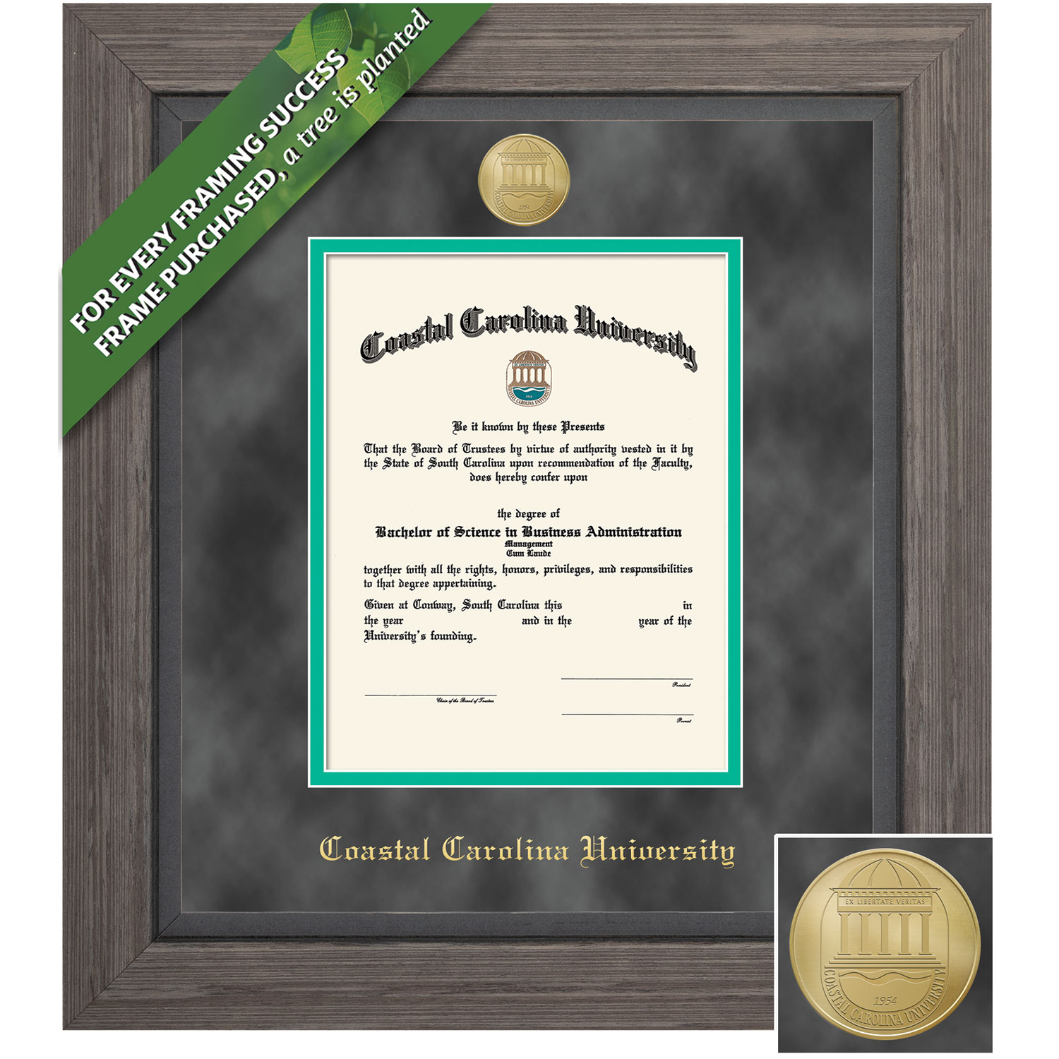 Framing Success 14 x 11  Greystone Gold Medallion Bachelors, Masters, PhD Diploma Frame