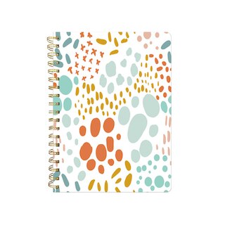 Pierre Belvedere WireBound Notebook