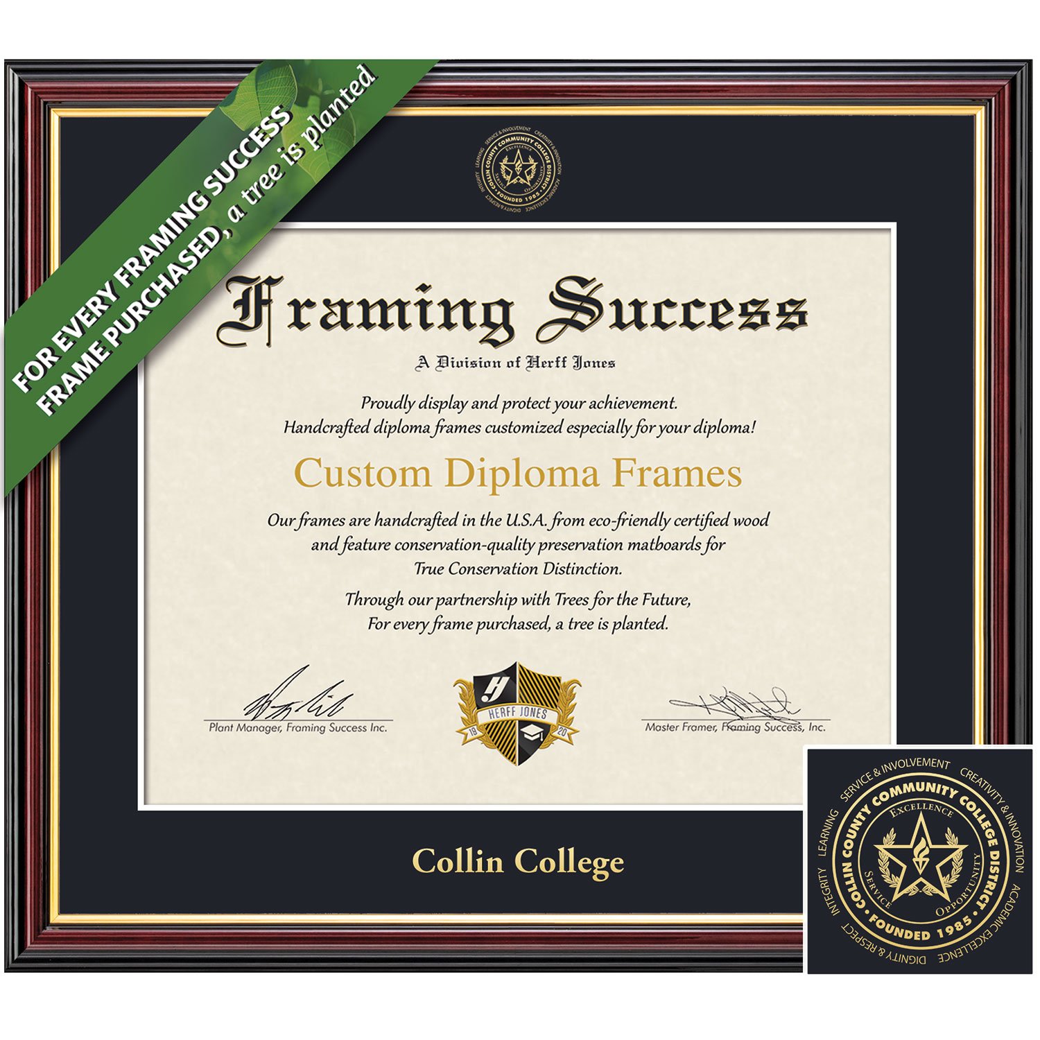 Framing Success 8.5 x 11 Academic Gold Embossed School Seal Associates, Bachelors Diploma Frame