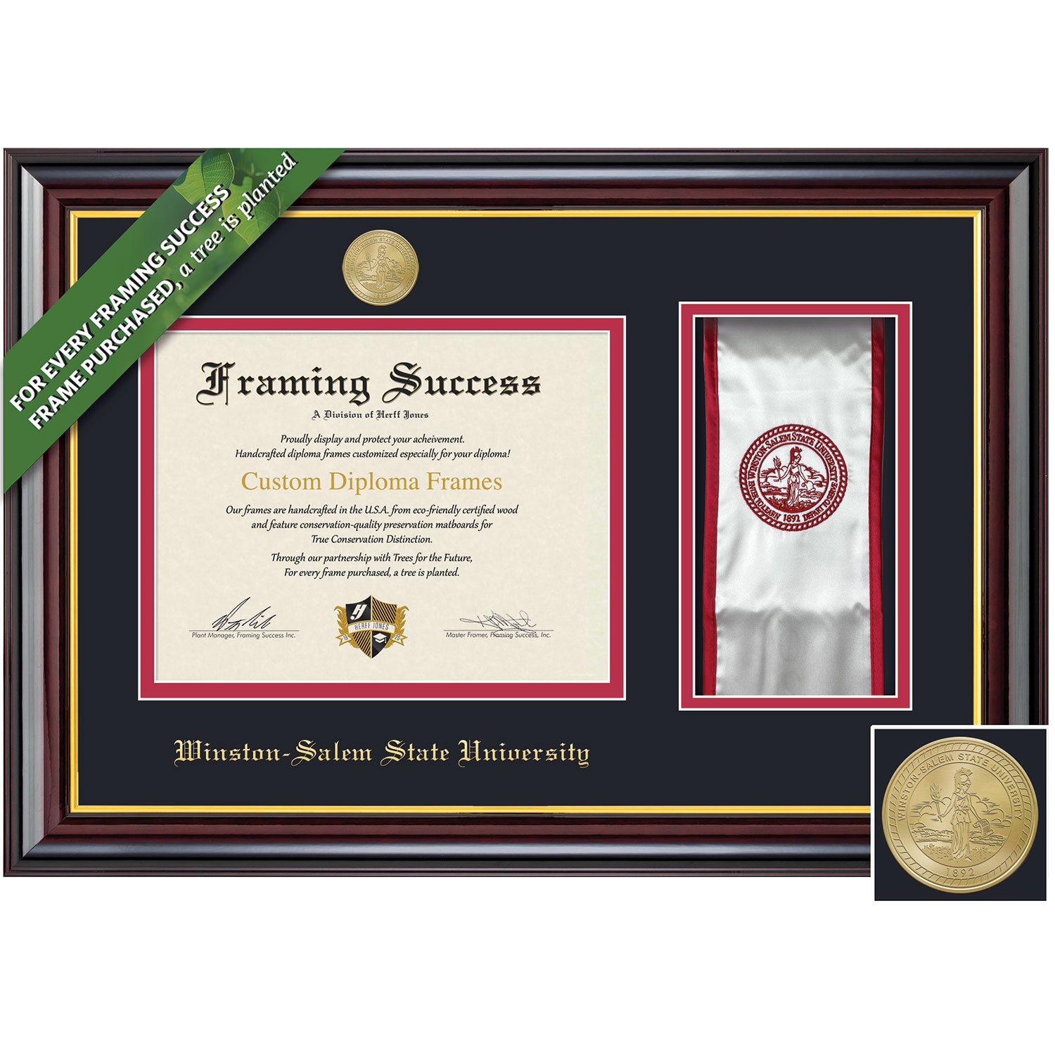 Framing Success 8.5 x 11 Windsor Gold Medallion Bachelors, Masters Diploma/Stole Frame