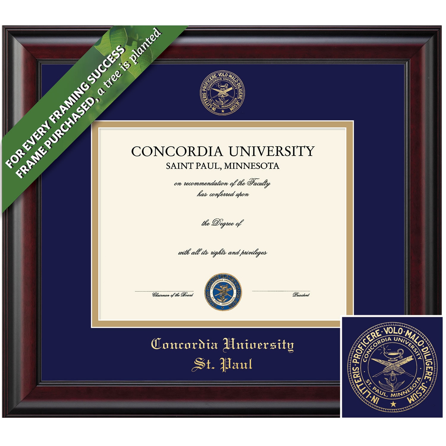Framing Success 8.5 x 11 Classic Gold Embossed School Seal Bachelors, Masters Diiploma Frame