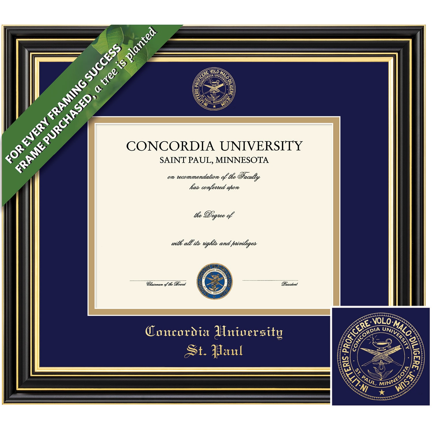 Framing Success 8.5 x 11 Prestige Gold Embossed School Seal Bachelors, Masters Diiploma Frame