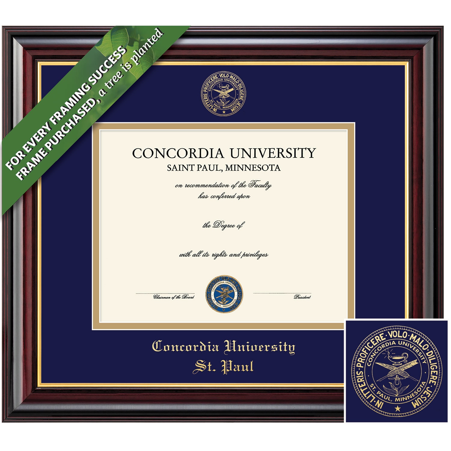 Framing Success 8.5 x 11 Windsor Gold Embossed School Seal Bachelors, Masters Diiploma Frame