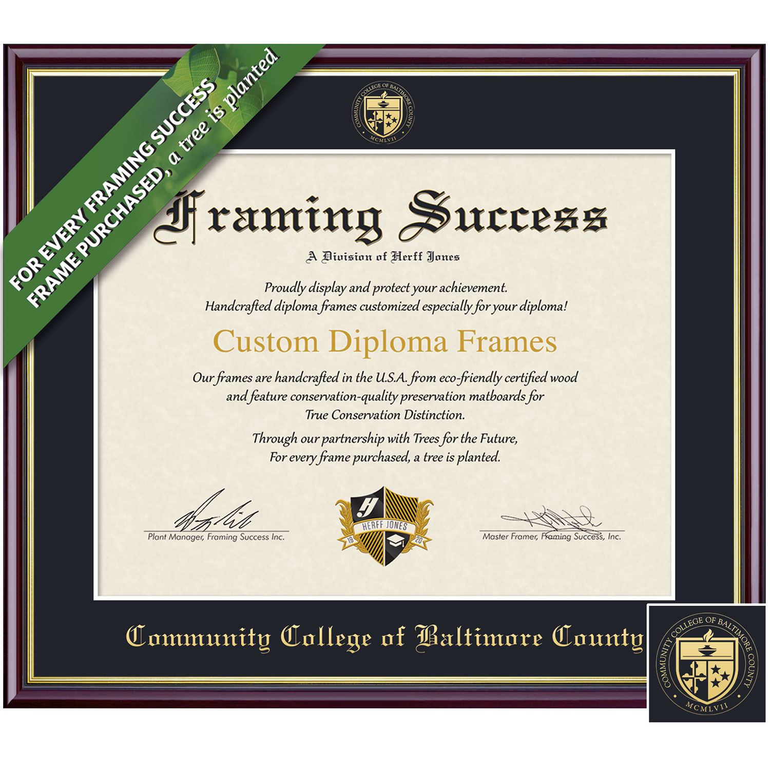 Framing Success 8.5 x 11 Academic Gold Embossed School Seal Associates Diploma Frame