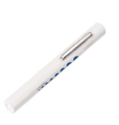 Dsp Penlight White w/Pupil Gauge