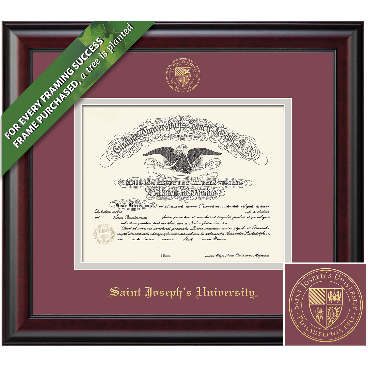 Framing Success 16 x 21 Classic Gold Embossed School Seal Bachelors, Masters Diploma Frame