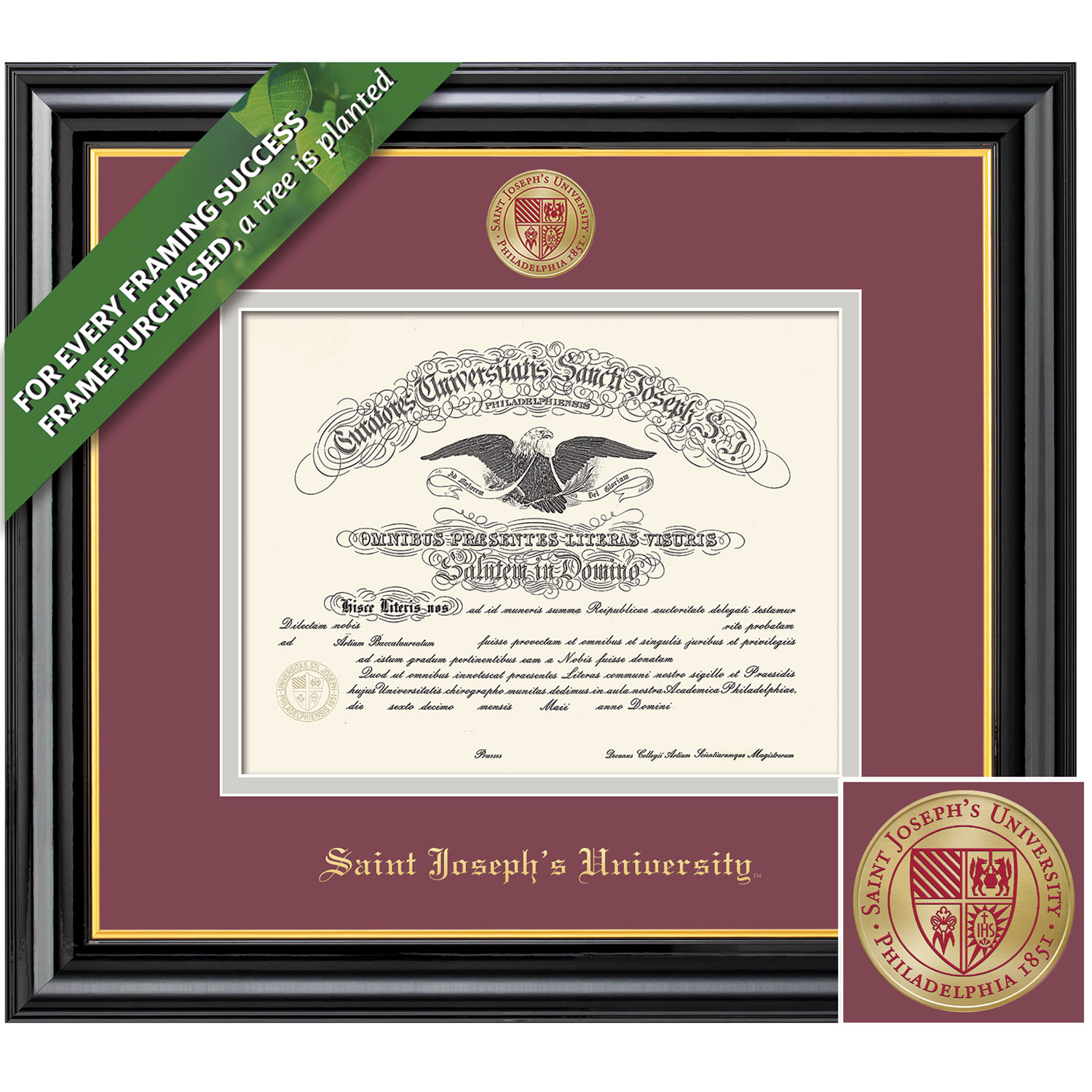 Framing Success 16 x 21 Coronado Colored Medallion Bachelors, Masters, PhD Diploma Frame