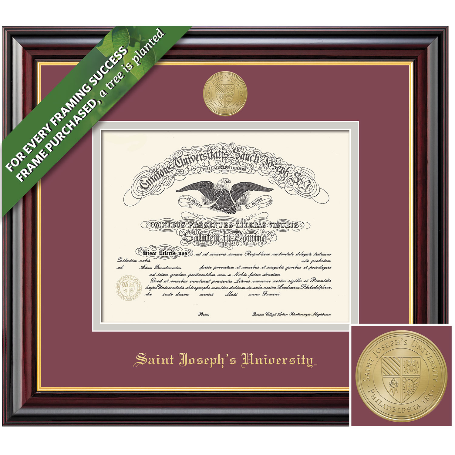 Framing Success Windsor Diploma Frame. Bachelors, Masters, PhD