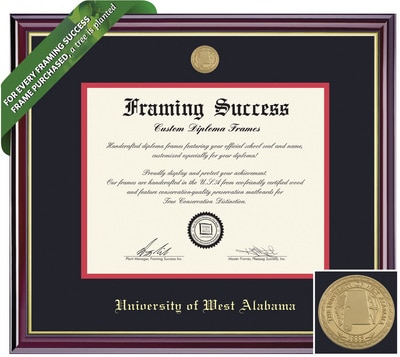 Framing Success 8.5 x 11 Windsor Gold Medallion  Bachelors, Masters, PhD Diploma Frame