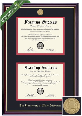 Framing Success 8.5 x 11 Windsor Gold Medallion Bachelors, Masters, PhD Double Diploma Frame