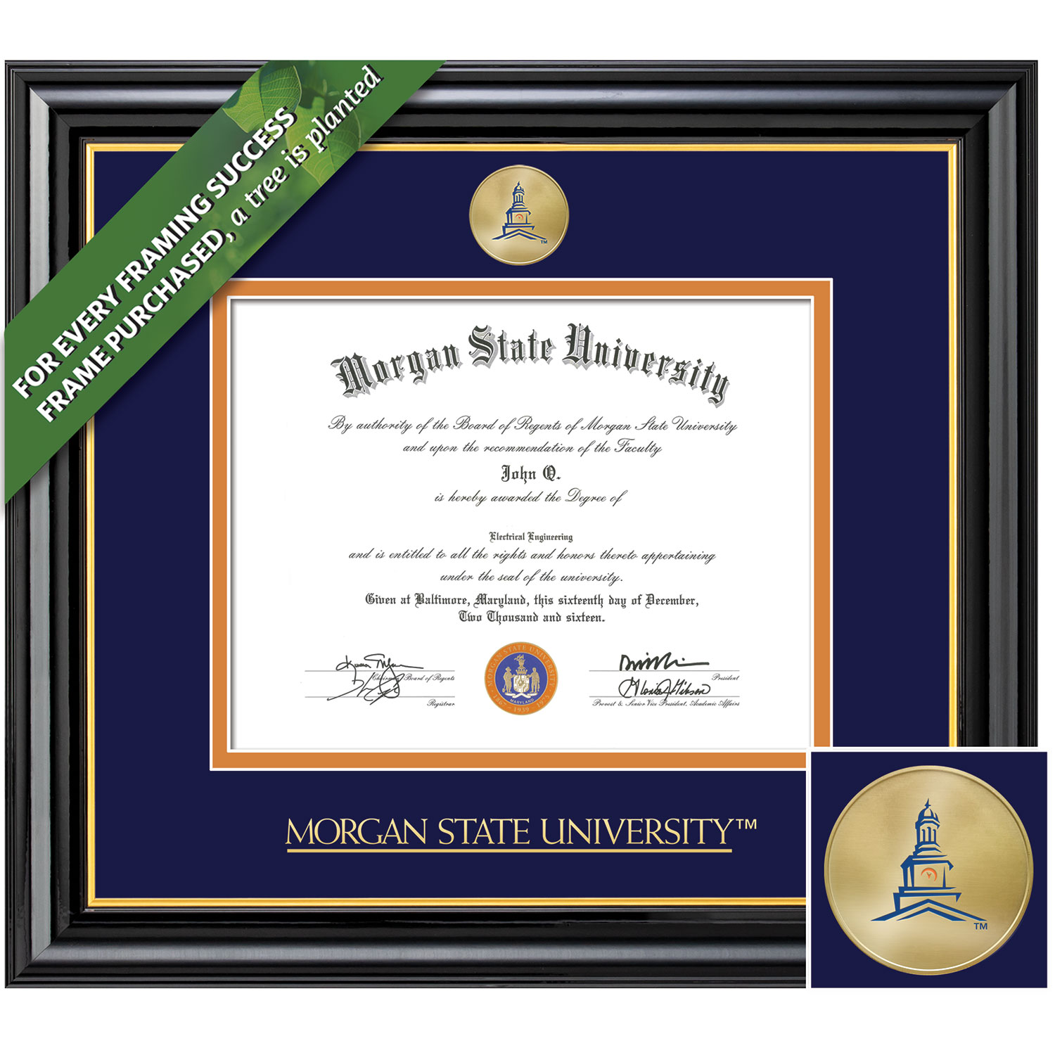 Framing Success 11 x 14 Coronado Colored Medallion Bachelors, Masters Diploma Frame
