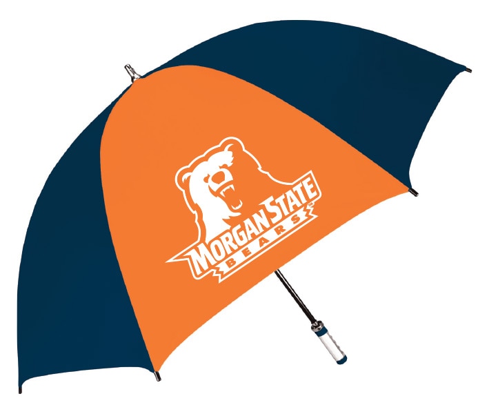 Morgan State University 6100 EMB 62" FIBERGLASS SHAFT 1C