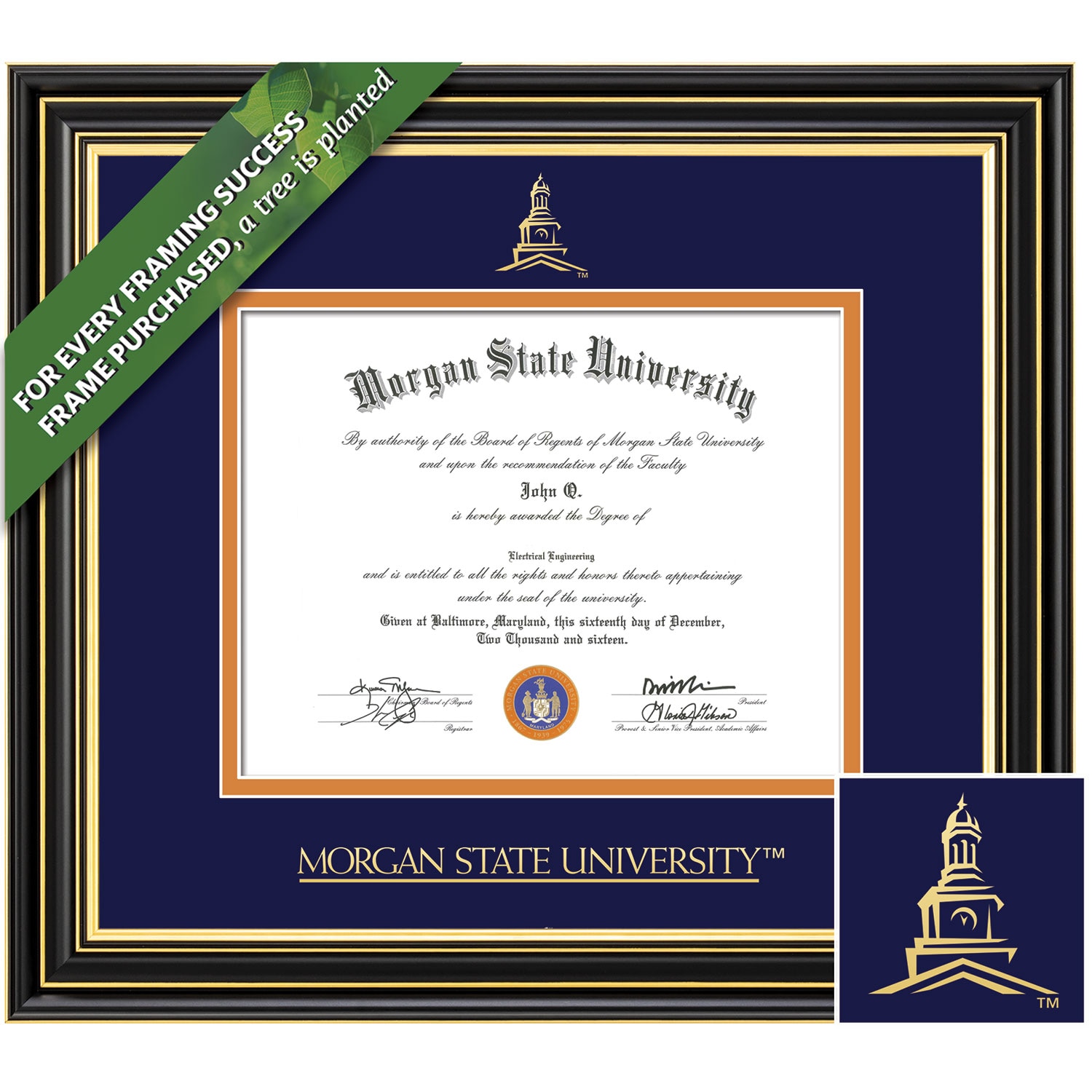 Framing Success 11 x 14 Prestige Gold Embossed School Seal Bachelors, Masters Diploma Frame