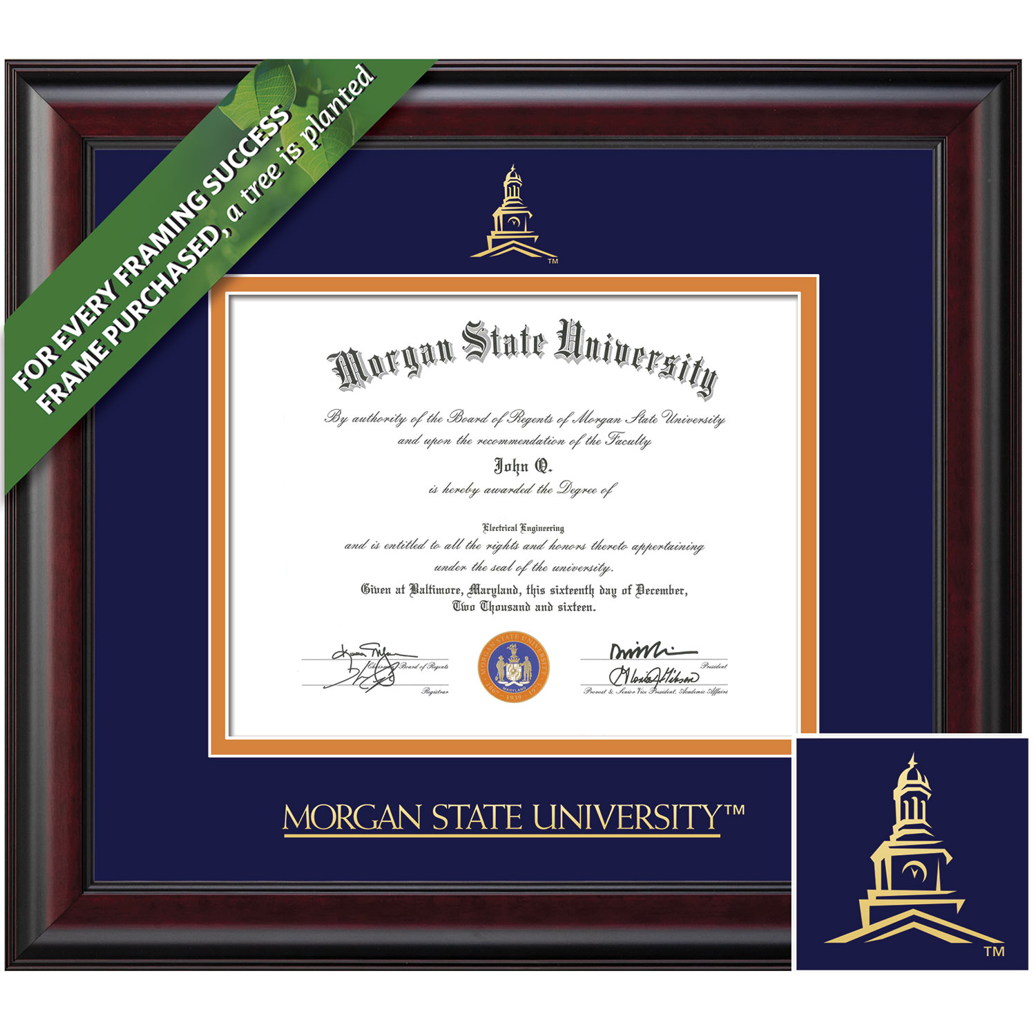 Framing Success 12 x 15 Classic Gold Embossed School Seal PhD Diploma Frame
