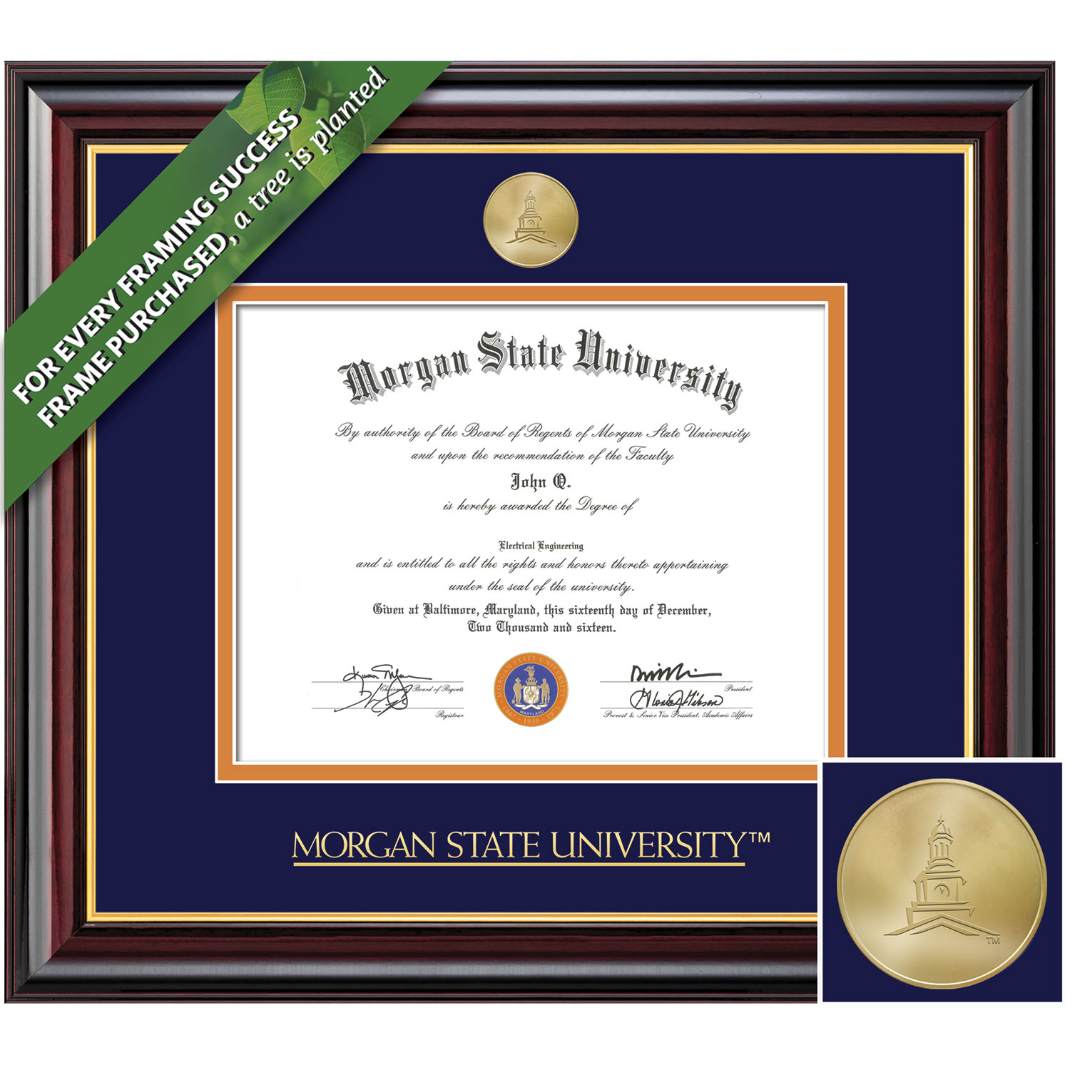 Framing Success 11 x 14 Windsor Gold Medallion Bachelors, Masters Diploma Frame