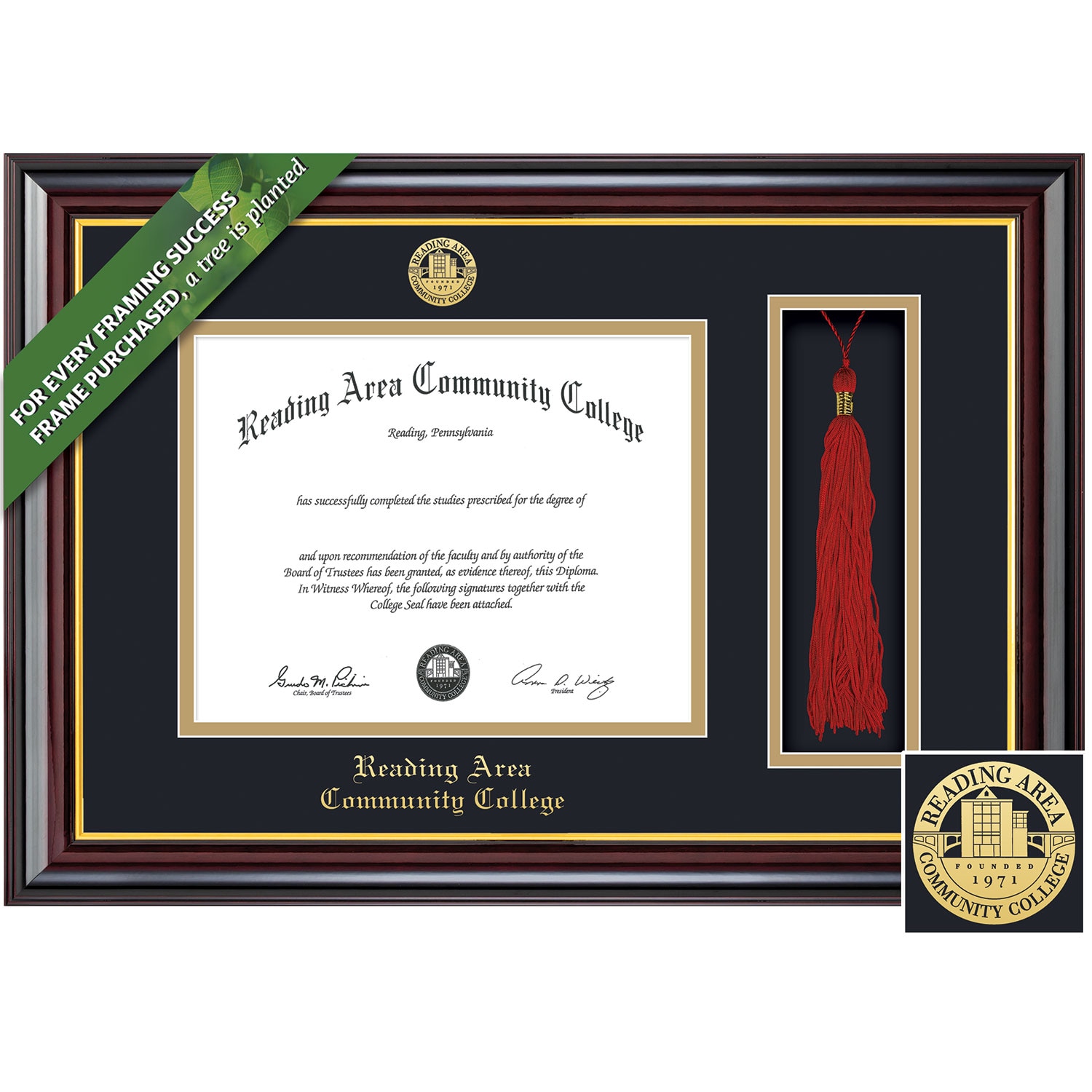 Framing Success 8.5 x 11 Windsor Gold Embossed School Seal Associates Diploma/Tassel Frame