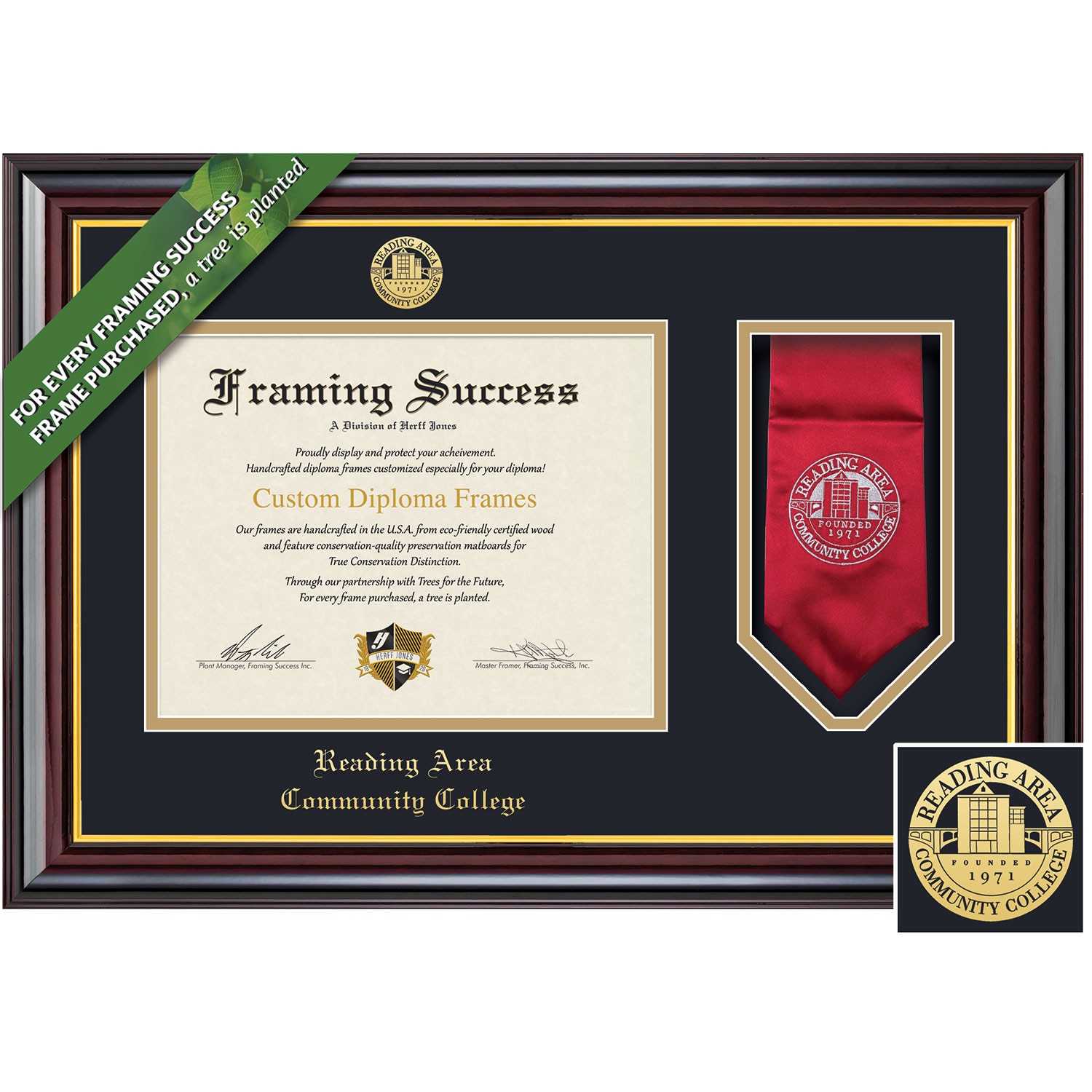 Framing Success 8.5 x 11 Windsor Gold Embossed School Seal Associates Diploma/Stole Frame