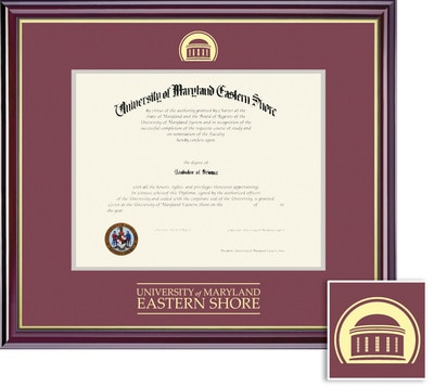 Framing Success 13 x 17 Windsor Gold Embossed School Seal PhD Diploma Frame