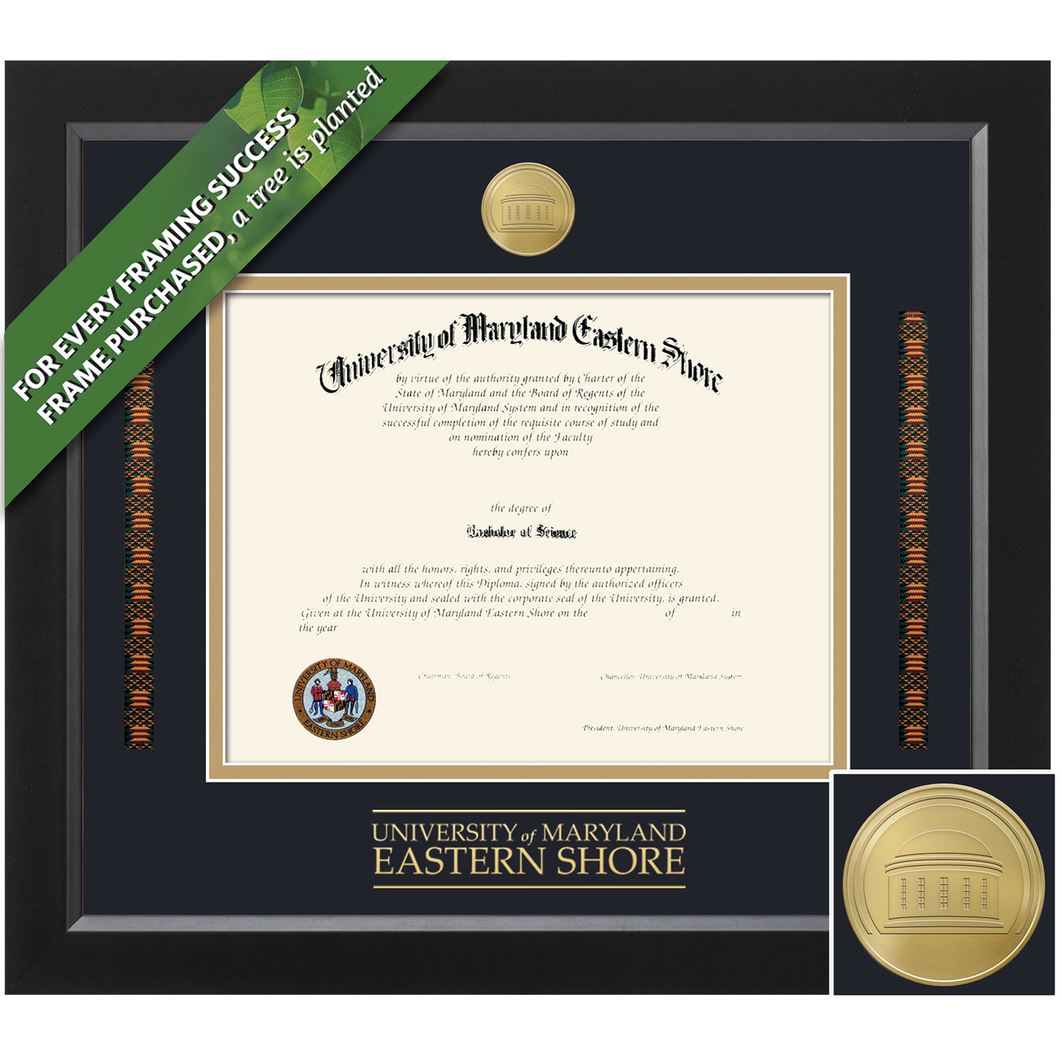Framing Success 11 x 14 Spirit Gold Medallion Bachelors Masters Doctorate Diploma/Kente Ribbon Frame