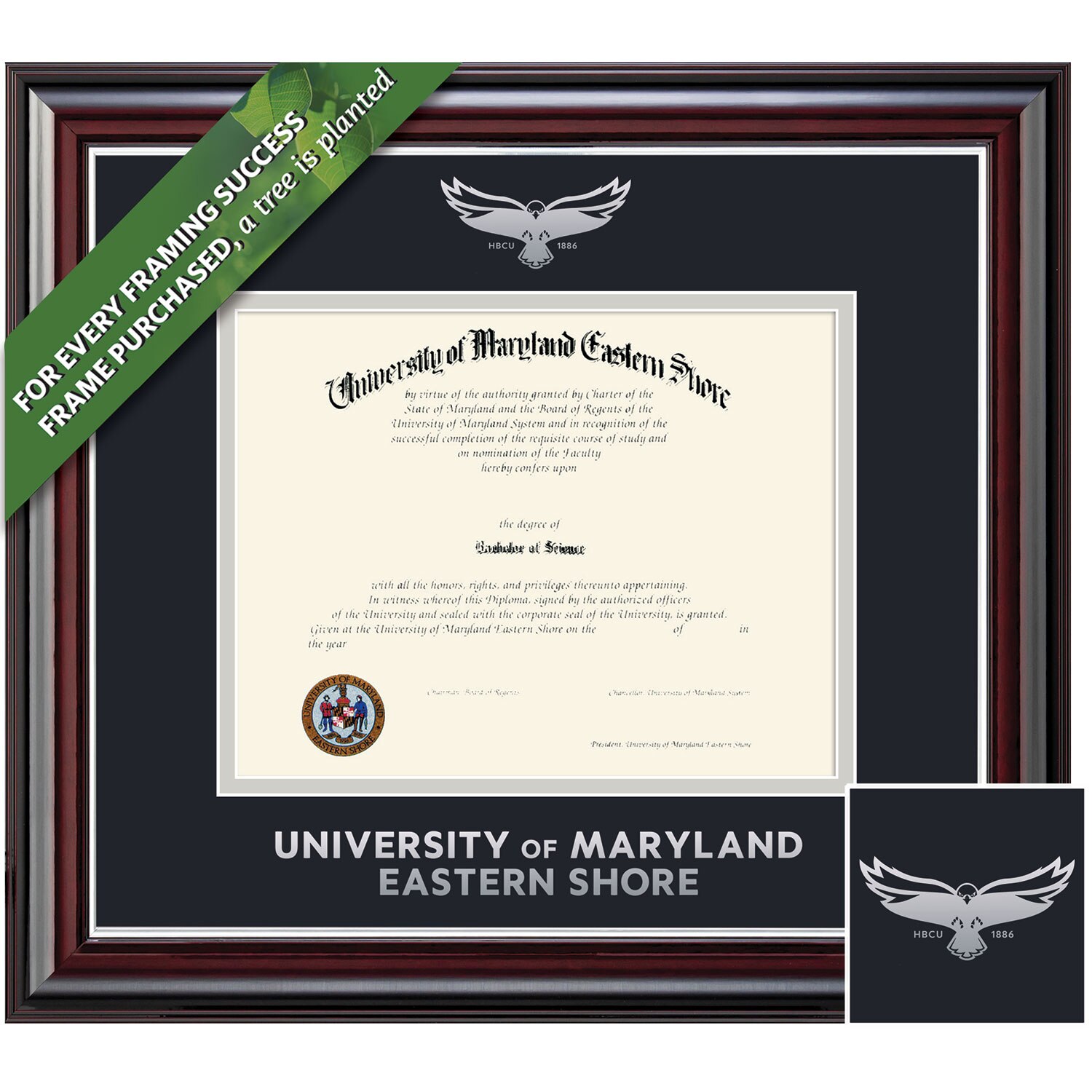 Framing Success 11 x 14 Jefferson Silver Embossed School Seal Bachelors Masters PhD Diploma Frame