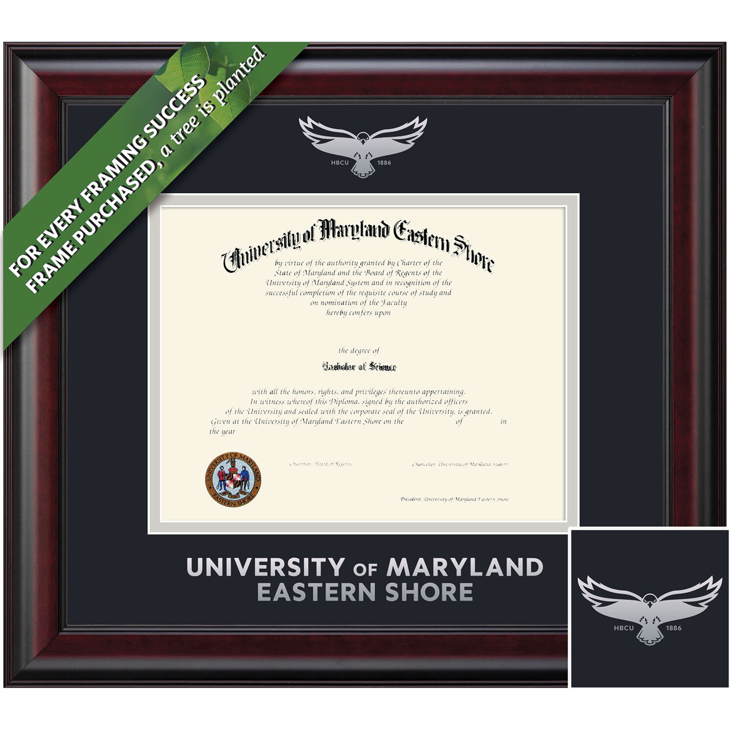 Framing Success 8.5 x 11 Classic Silver Embossed School Seal Bachelors Masters Diploma Frame