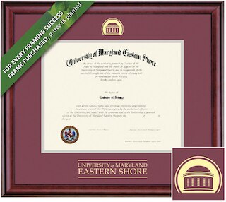 Framing Success 12 x 15 Classic Gold Embossed School Seal Bachelors, Masters Diploma Frame