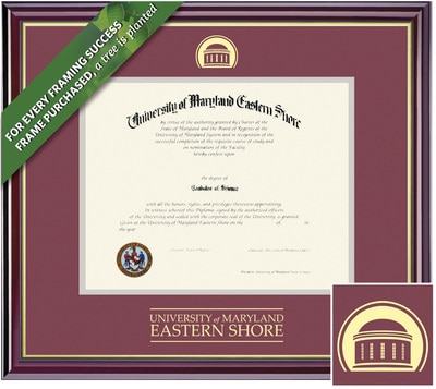 Framing Success 12 x 15 Windsor Gold Embossed School Seal Bachelors, Masters Diploma Frame
