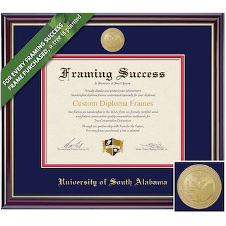 Framing Success 12 x 15 Windsor Gold Medallion Doctorate Diploma Frame