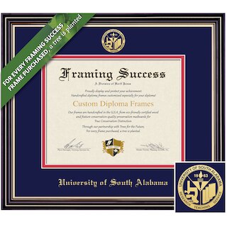 Framing Success 8.5 x 11 Prestige Gold Embossed School Seal Bachelors, Masters Diploma Frame