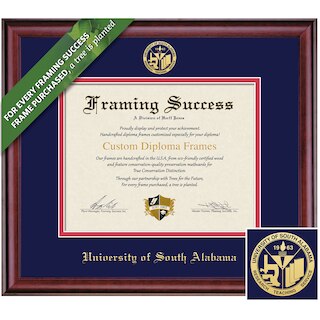 Framing Success 8.5 x 11 Classic Gold Embossed School Seal Bachelors, Masters Diploma Frame