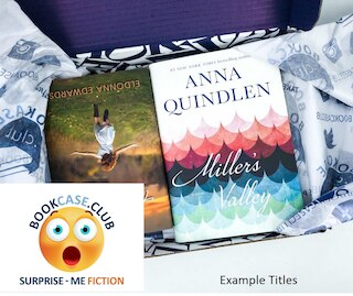 Surprise Me Fiction Box by BookCase Club