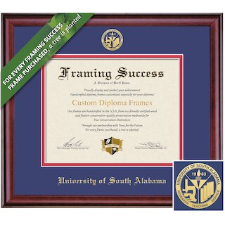 Framing Success 8.5 x 11 Classic Gold Embossed School Seal Bachelors, Masters Diploma Frame
