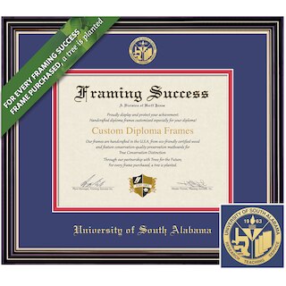 Framing Success 8.5 x 11 Prestige Gold Embossed School Seal Bachelors, Masters Diploma Frame