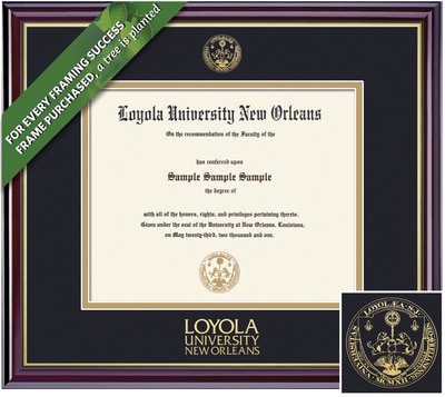 Framing Success 8 x 10 Windsor Gold Embossed School Seal Bachelors, Masters Diploma Frame
