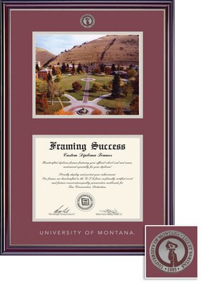 Framing Success 8 x 10 Jefferson Colored Medallion Bachelors, Masters, PhD Diploma/Photo Frame