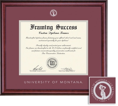 Framing Success 8 x 10 Classic Silver Embossed School Seal Bachelors, Masters, PhD Diploma Frame