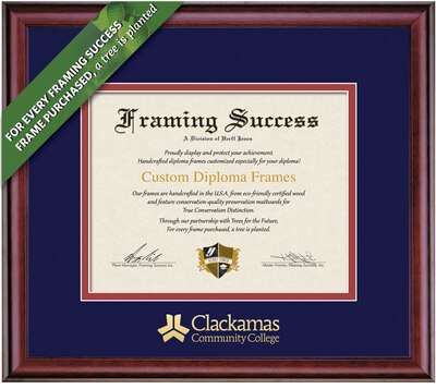 Framing Success 6 x 8 Classic Gold Embossed School Name Associates Diploma Frame