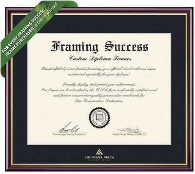 Framing Success 11 x 14 Academic Associates Gold Emb School Name Diploma Frame