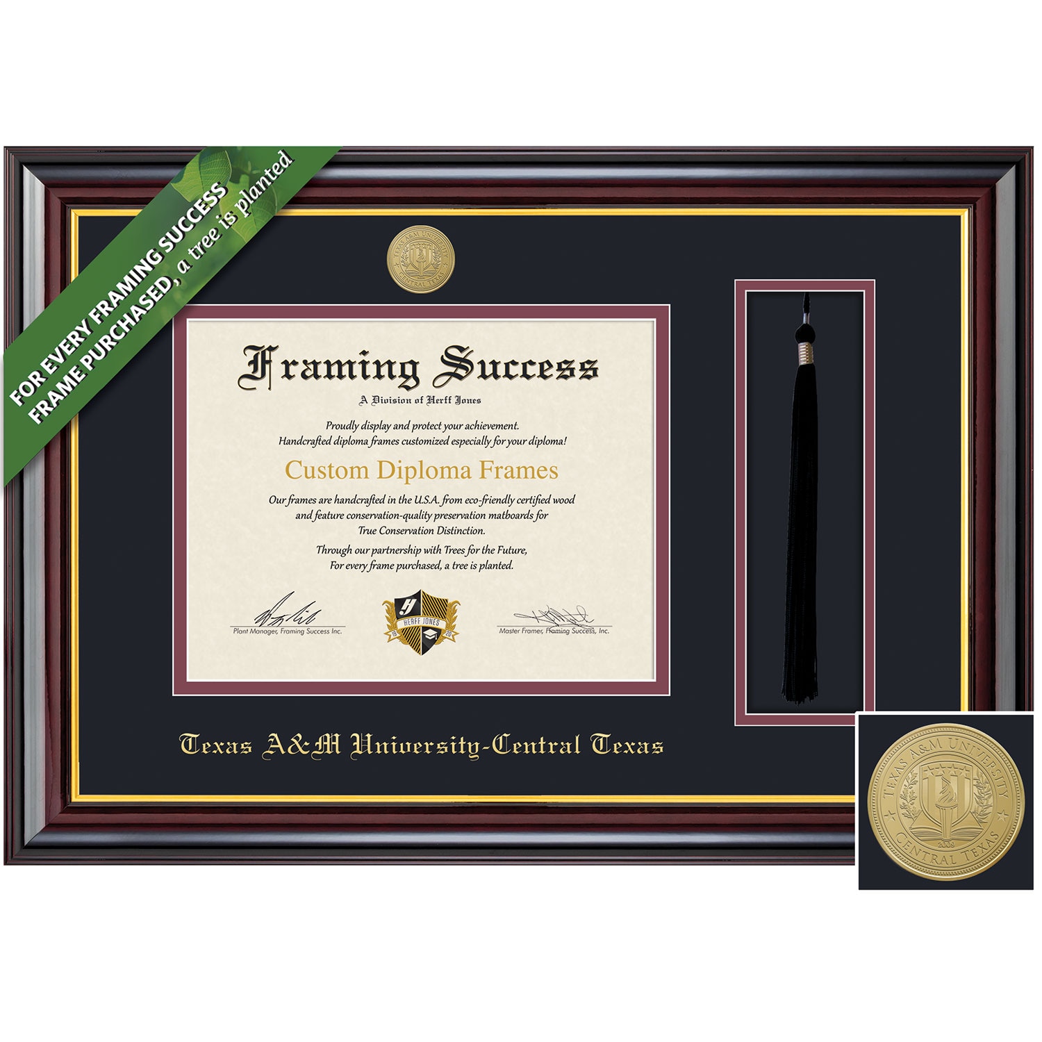 Framing Success 11 x 14 Windsor Gold Medallion Bachelors, Masters Diploma/Tassel Frame
