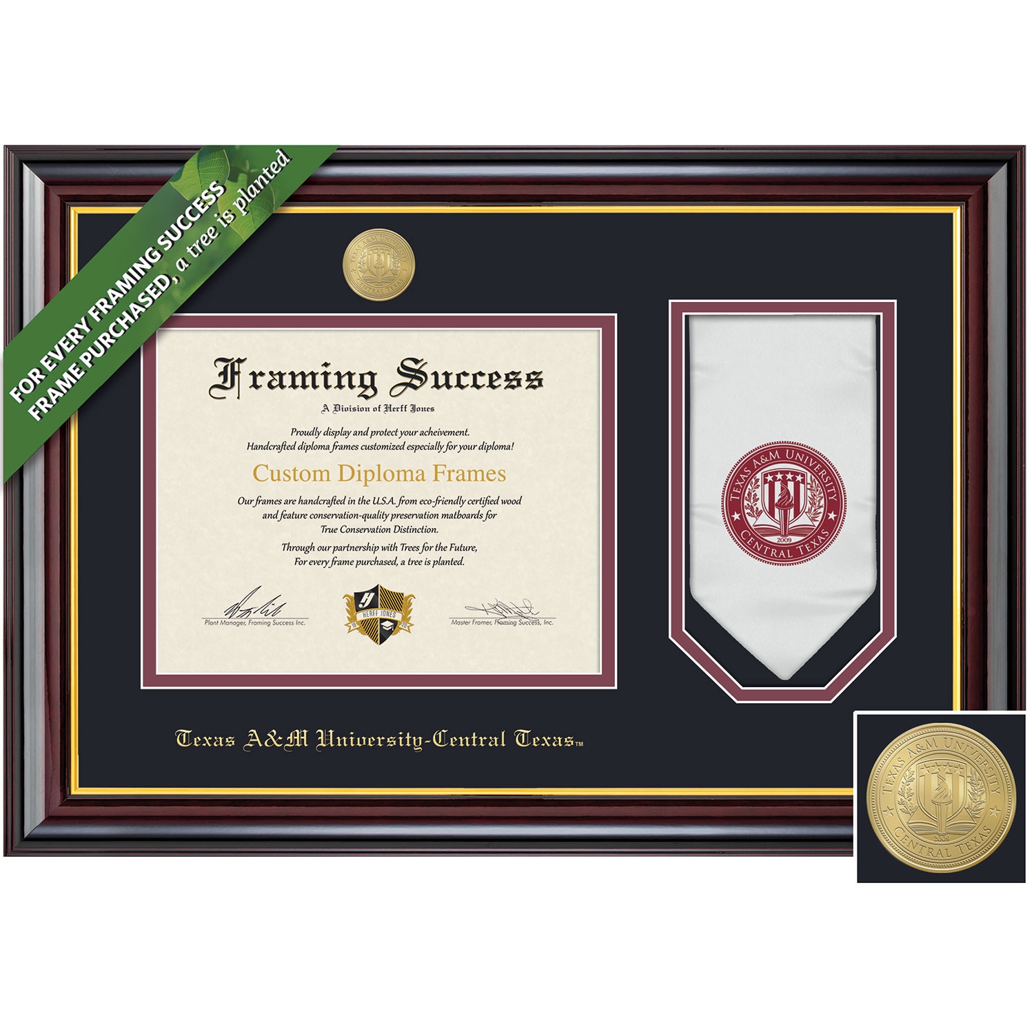 Framing Success 11 x 14 Windsor Gold Medallion Bachelors, Masters Diploma/Stole Frame