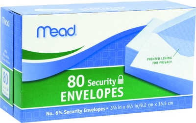 ENVELOPES 6 3/4 BOXED SECURITY