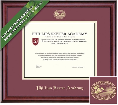 Framing Success 11 x 14 Classic Gold Embossed School Seal Diploma Frame