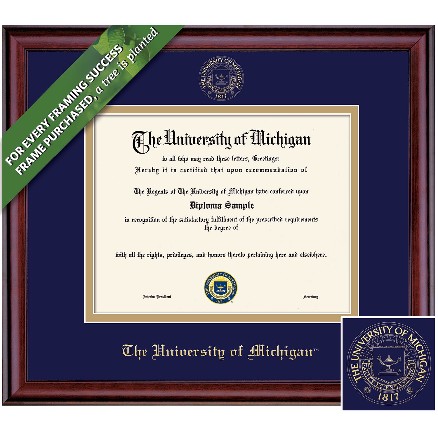Framing Success 8.5 x 11 Classic Gold Embossed School Seal  Bachelors, Masters Diploma Frame
