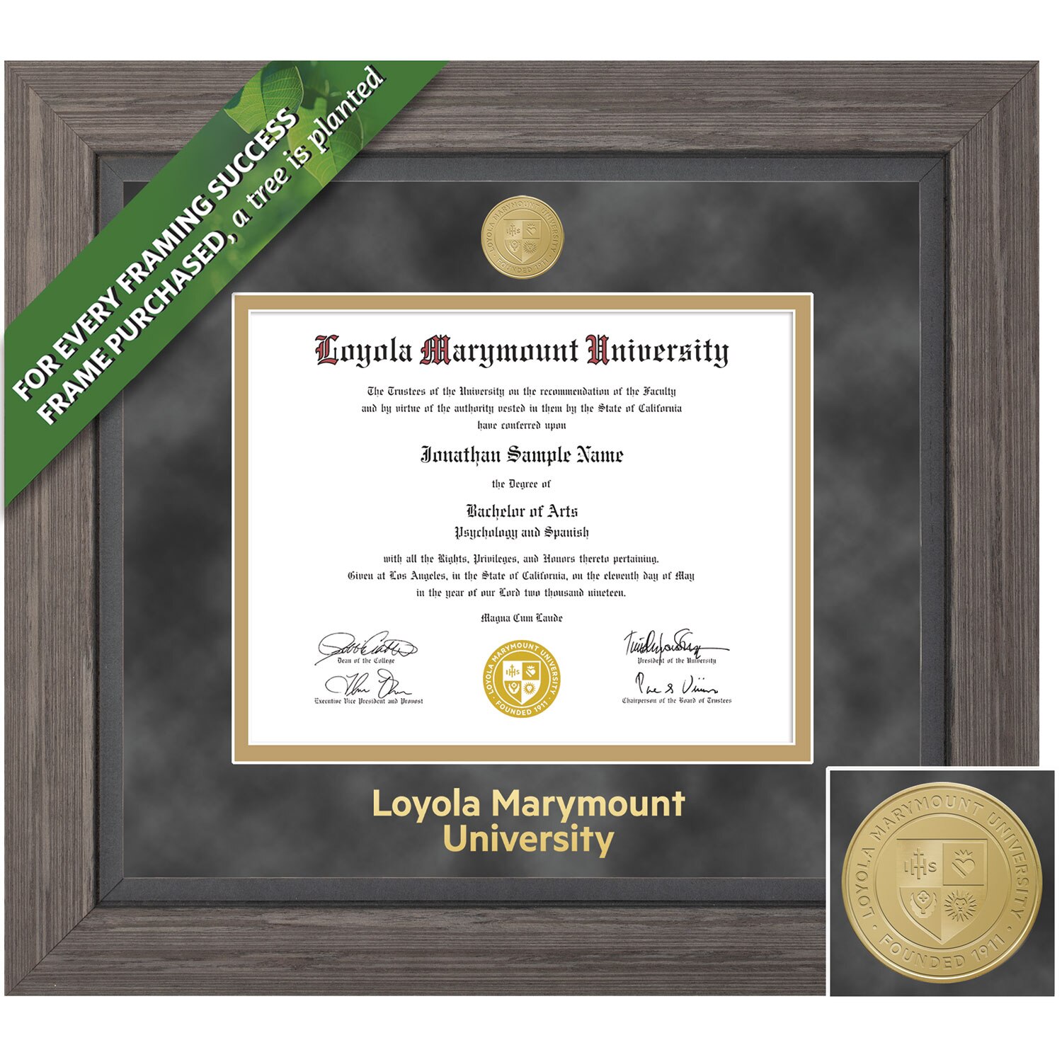 Framing Success 11 x 14  Greystone Gold Medallion Doctorate Diploma Frame