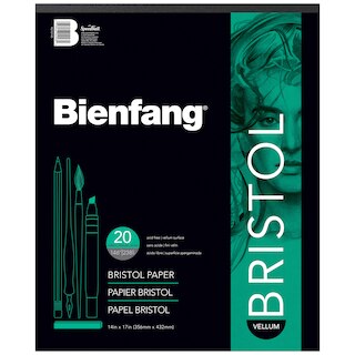 Bienfang 527K Bristol Board Drawing Paper Pad, 20 Sheets,  Regular, 14