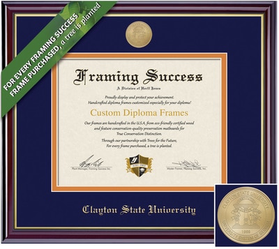 Framing Success 8.5 x 11 Windsor Gold Medallion Bachelors Diploma Frame