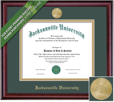Framing Success 11 x 14 Classic Gold Medallion Bachelors, Masters Diploma Frame