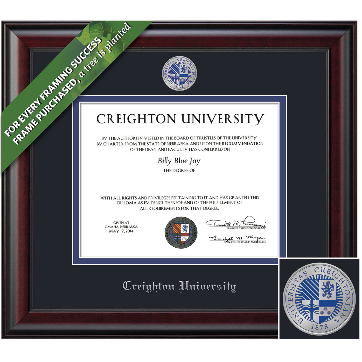 Framing Success 8 x 10 Classic Coronado Color Enamel Custom Minted Medallion Bachelors, Masters Diploma Frame